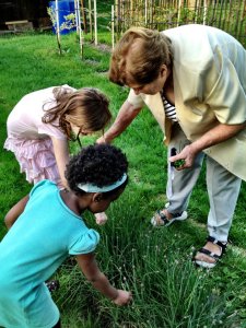 Babička and my daughters picking herbs growing in the vast, lush garden.